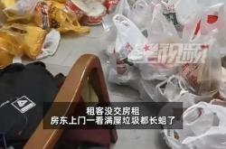 房东上门催租发现满屋垃圾乱中有序：他上次扔垃圾还是3个月前