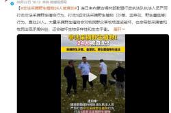 内蒙古24人采摘沙葱韭菜花被查处引热议：保护野生植物边界在哪？