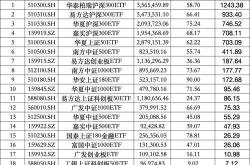 中央汇金最新持仓曝光 大举加仓股票ETF，青睐科创50与创业板