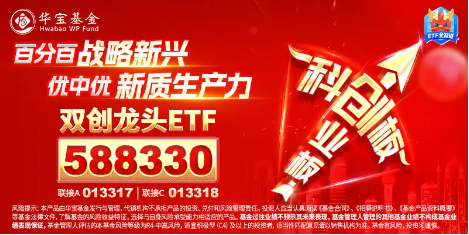 高弹性魅力凸显！科创板狂飙，硬科技宽基——双创龙头ETF（588330）盘中涨逾2%，华大九天20CM涨停